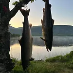 Gronnbuene Rorbu