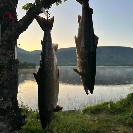 Gronnbuene Rorbu