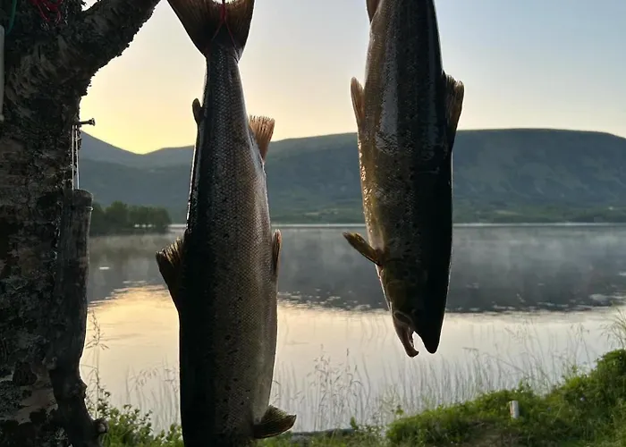 Gronnbuene Rorbu