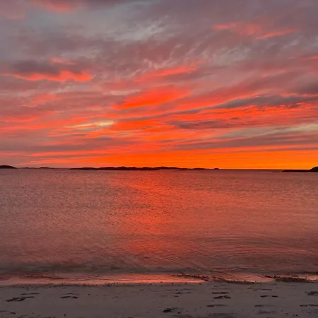 Gronnbuene Rorbu 2* Andenes